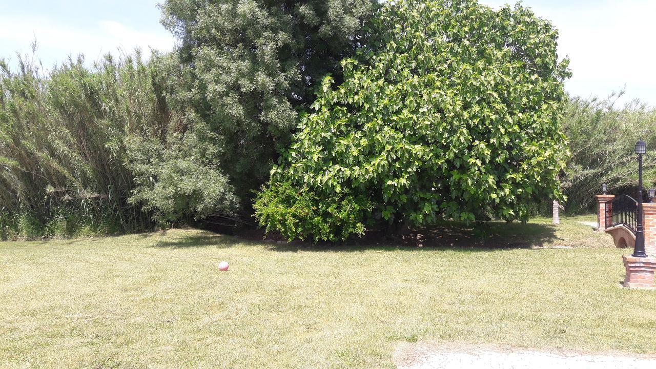 Quinta Da Abrunheira Apartman Vimieiro  Kültér fotó